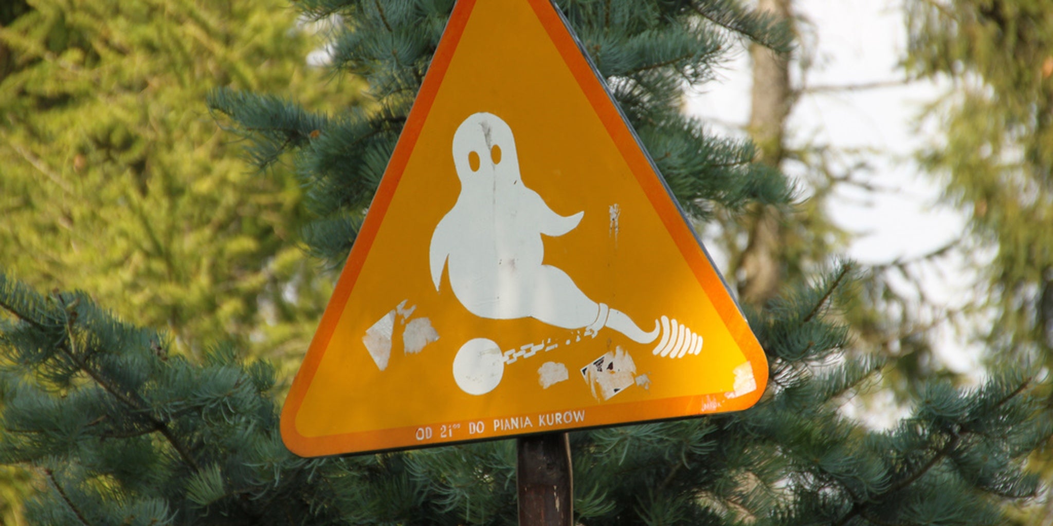 Homepage article image