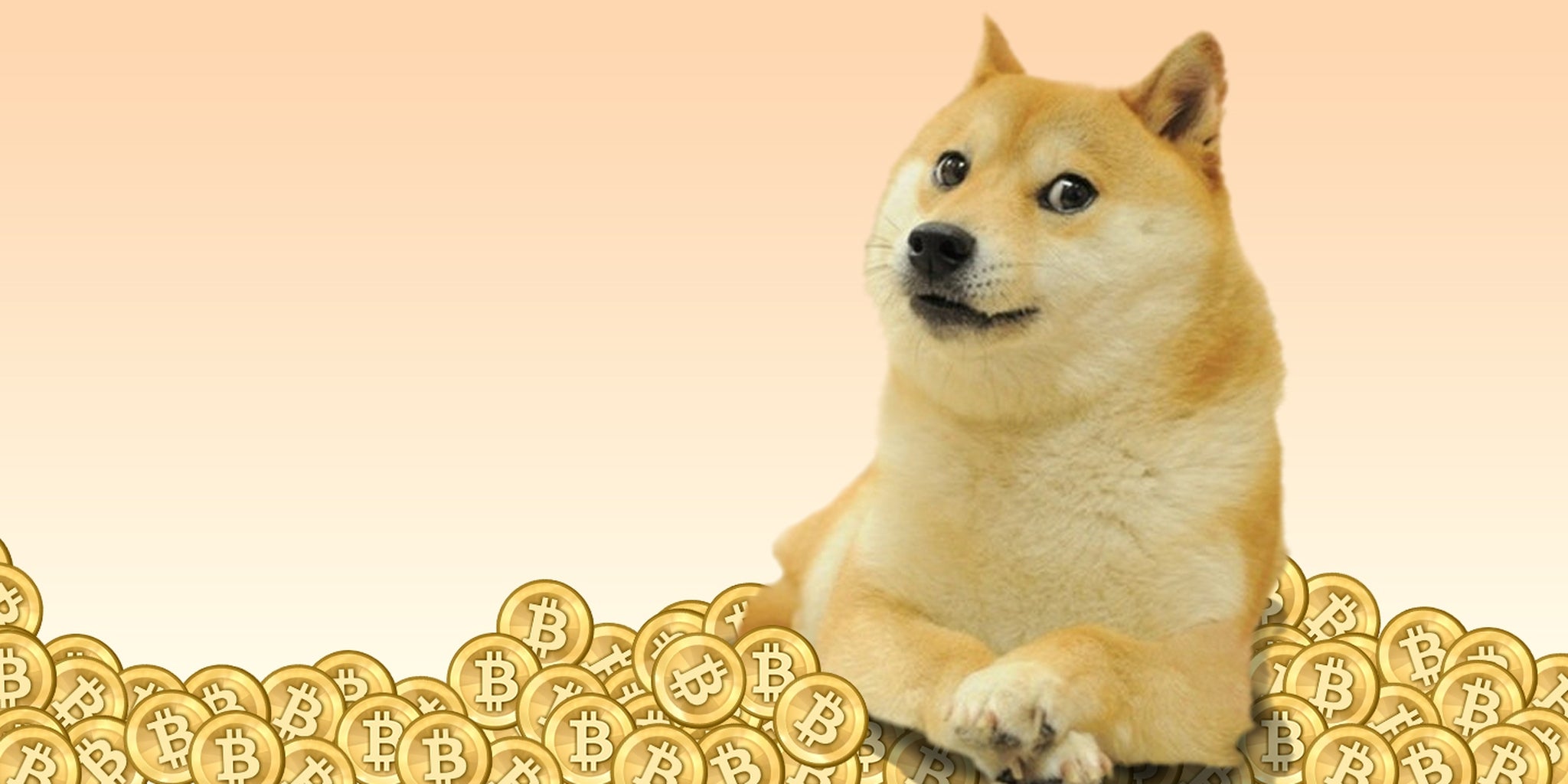 4chan users are handing out dogecoins like candy
