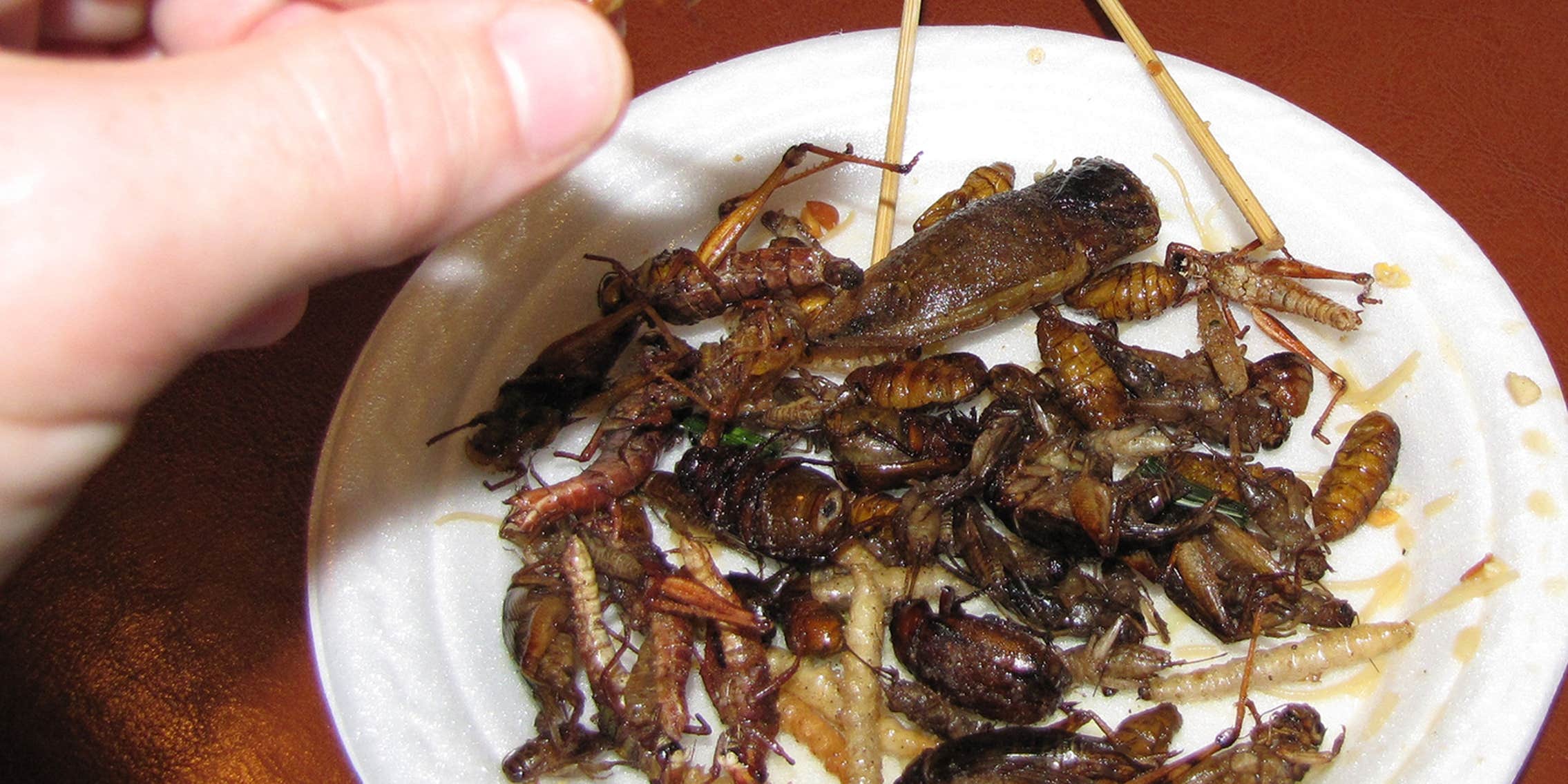 Fried Cockroach Recipe
