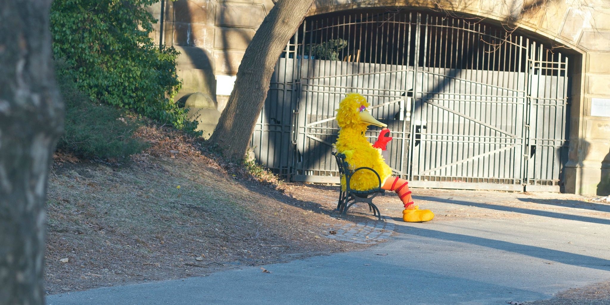 Homepage article image