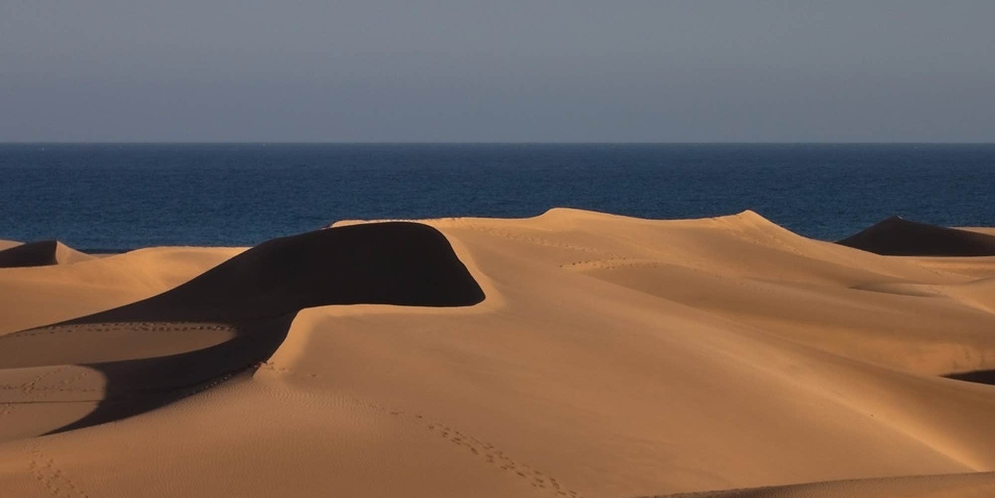 Russian hackers spied on NATO and Ukraine using a Windows security exploit