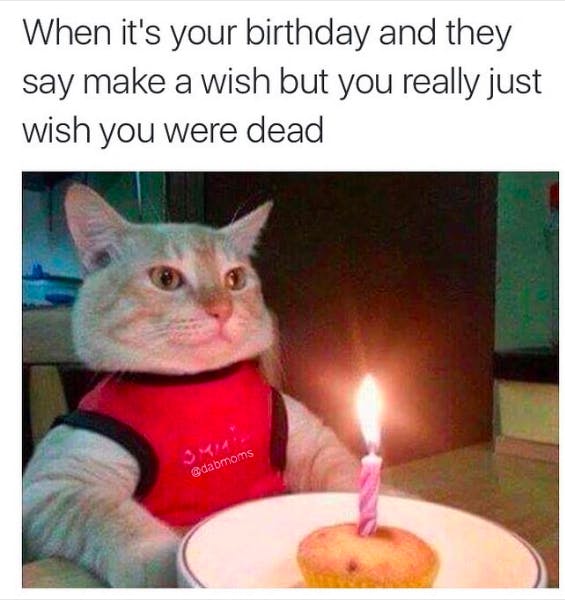 funny happy birthday meme tumblr