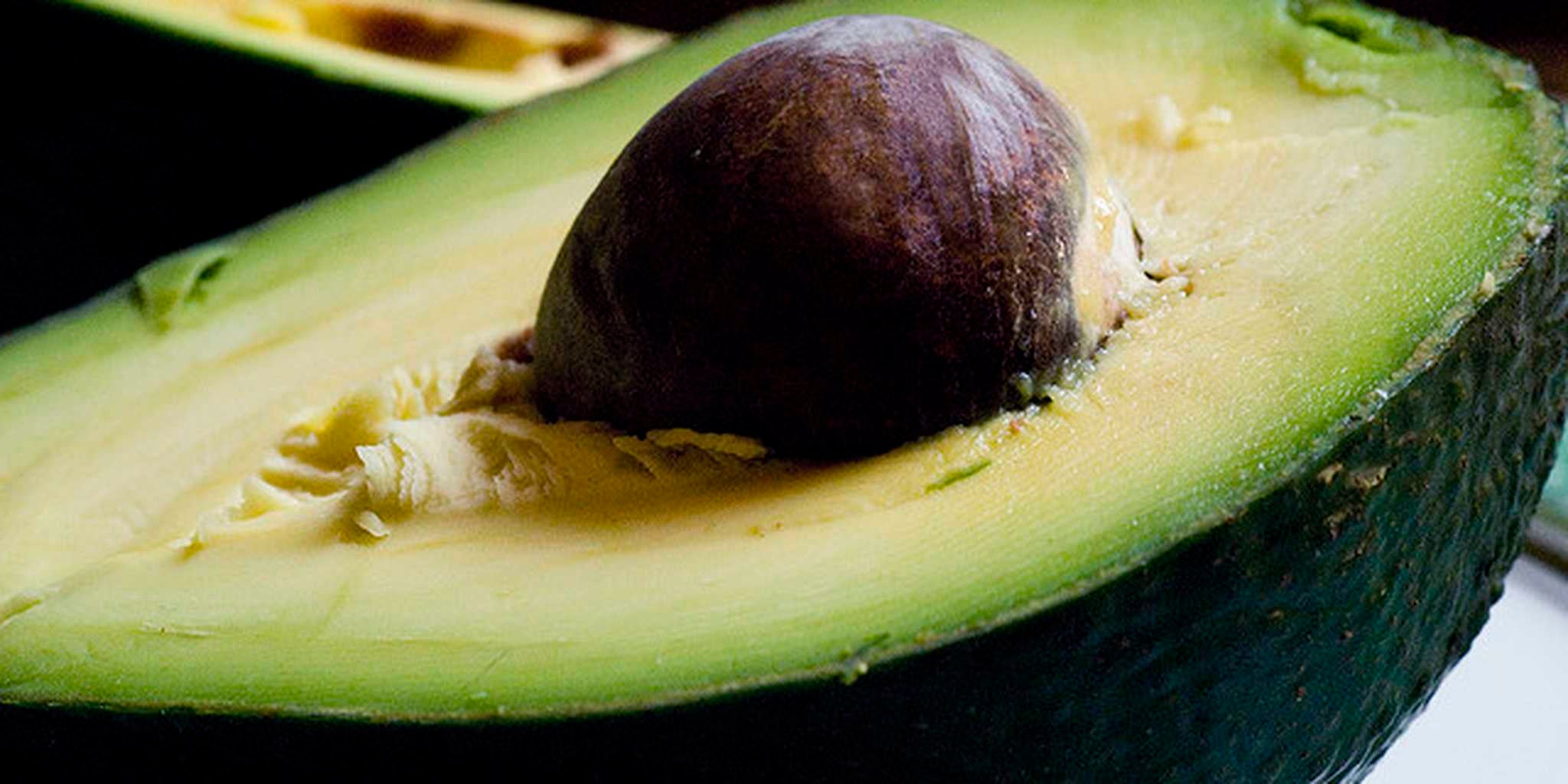 Homepage article image