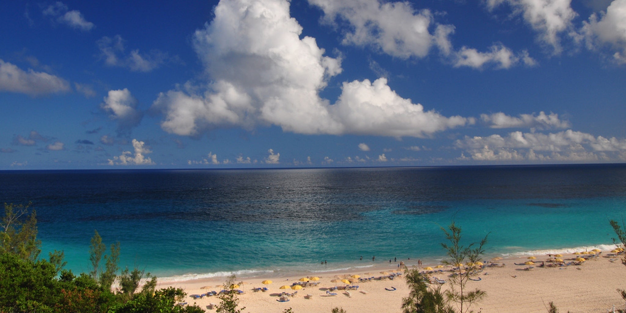 Homepage article image