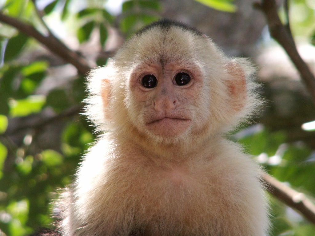 Homepage article image