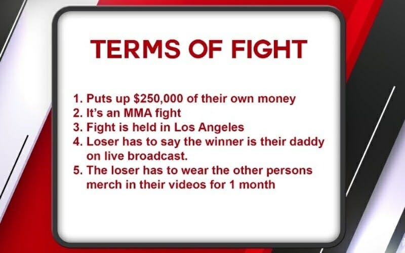 Jake Paul KSI fight terms