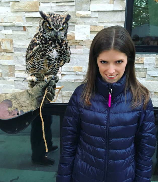 anna kendrick owl