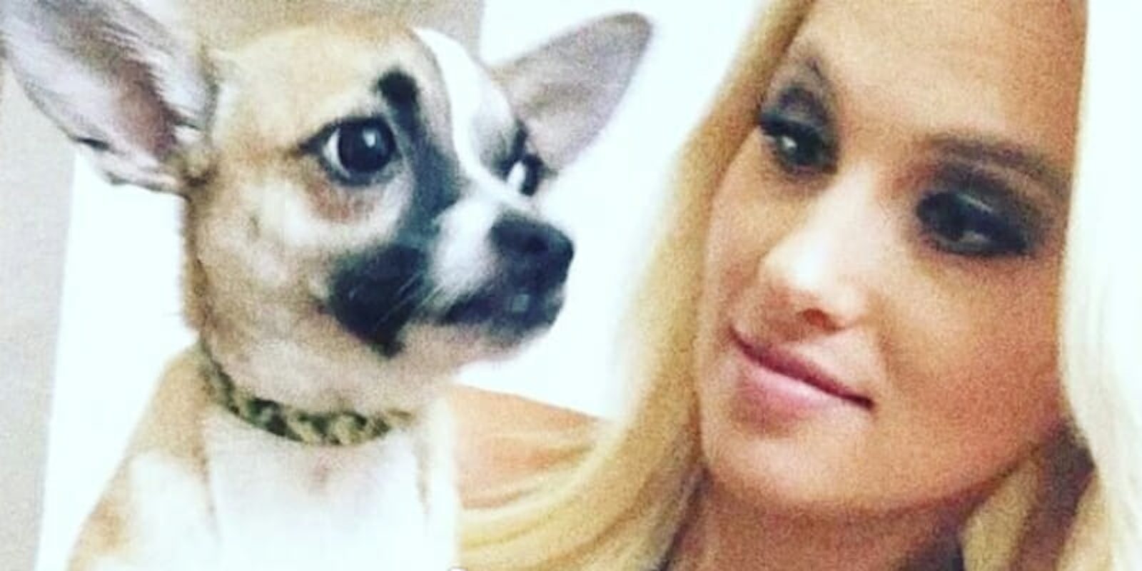 Tomi Lahren said in an Instagram story she kicked her dog 'five times' during her appearance on 'Fox & Friends.'