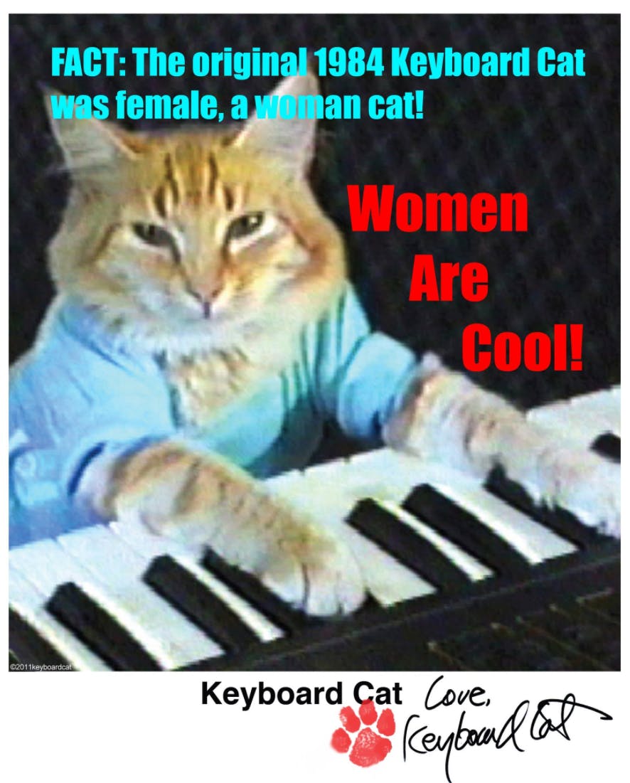 Keyboard Cat meme