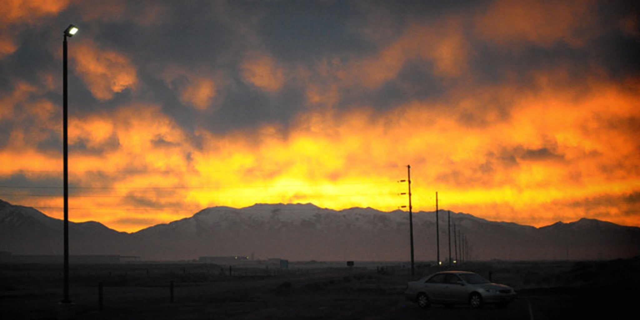 Homepage article image