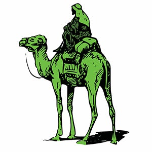 Silk Road camel