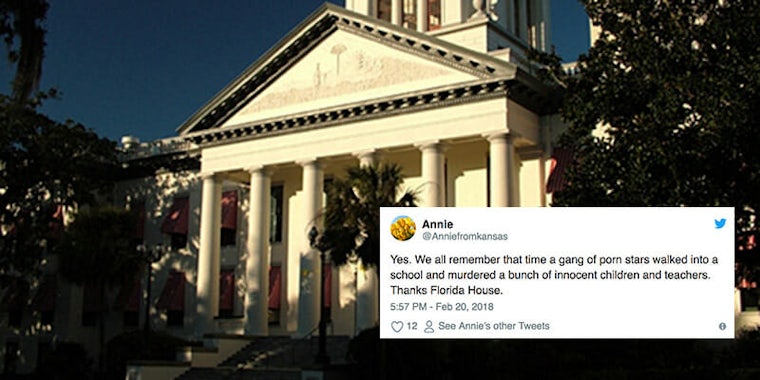 Florida's House of Representatives declared porn a health risk but doesn't consider a ban on assault weapons less than a week after Parkland shooting.