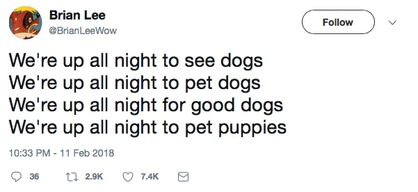 We're up all night to see dogs We're up all night to pet dogs We're up all night for good dogs We're up all night to pet puppies