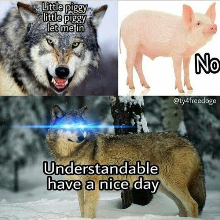 wolf and little pig understandable meme