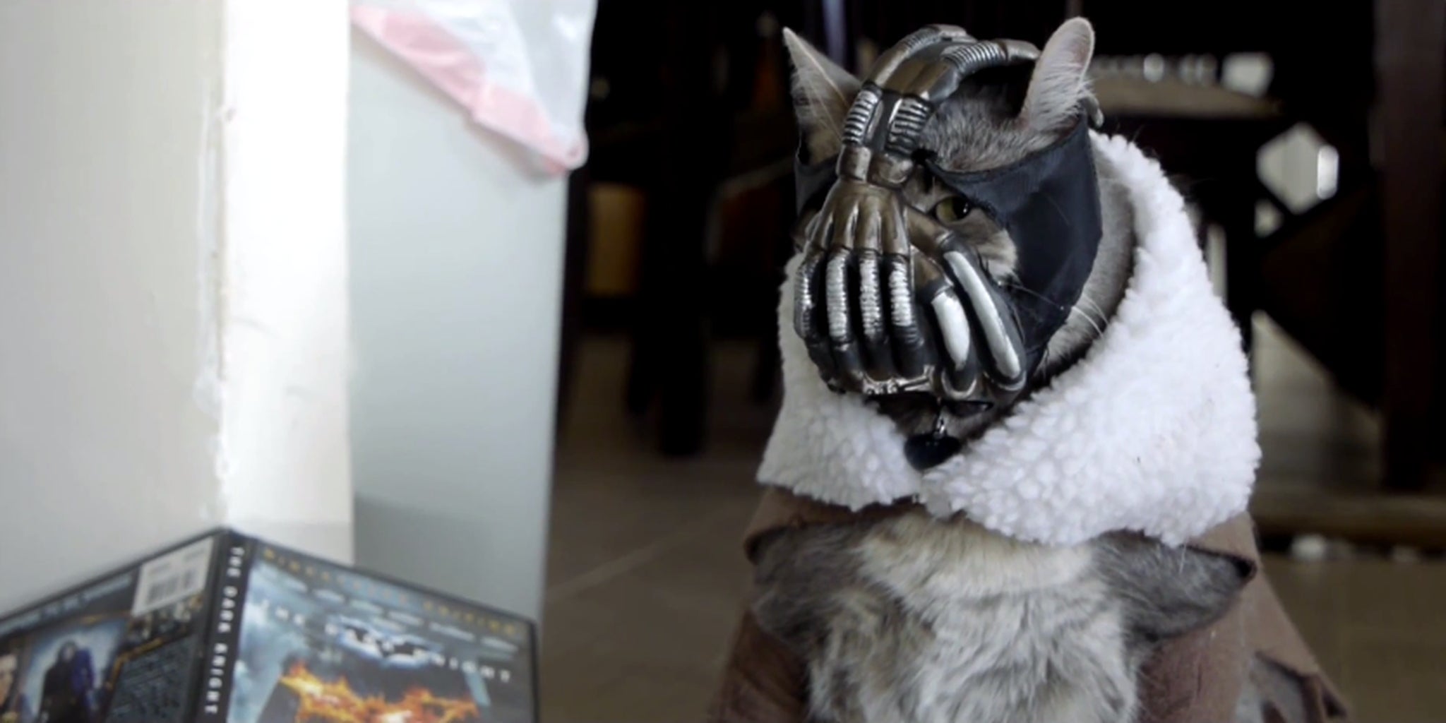 Homepage article image