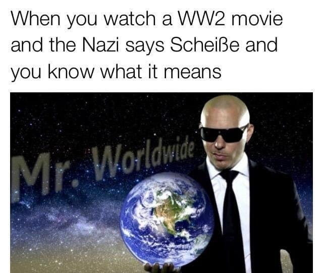 pitbull schiesse nazi meme mr worldwide