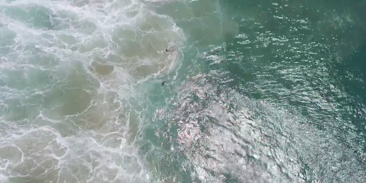 Drone rescue footage from Australia