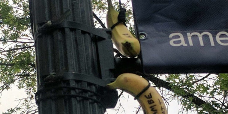 bananas american university