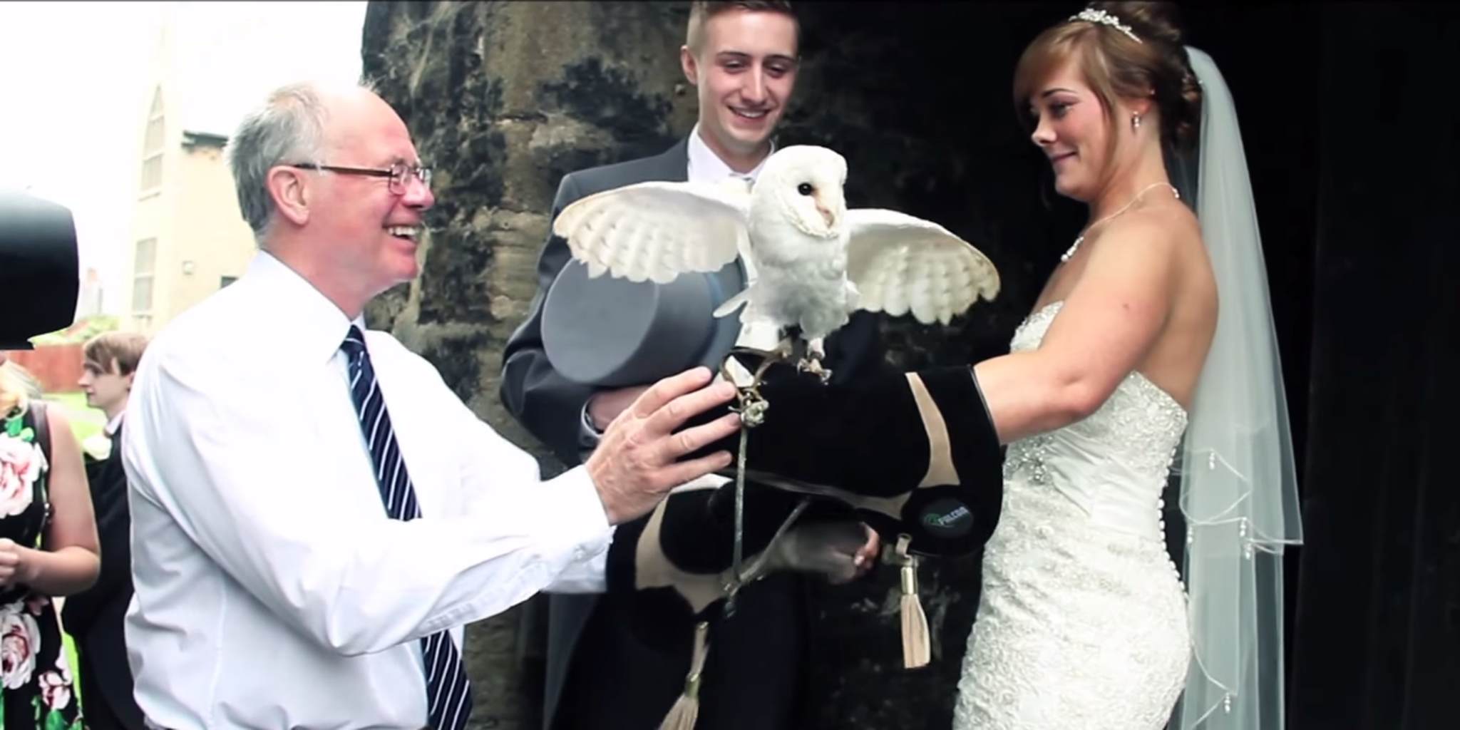 Owl Wedding Dress