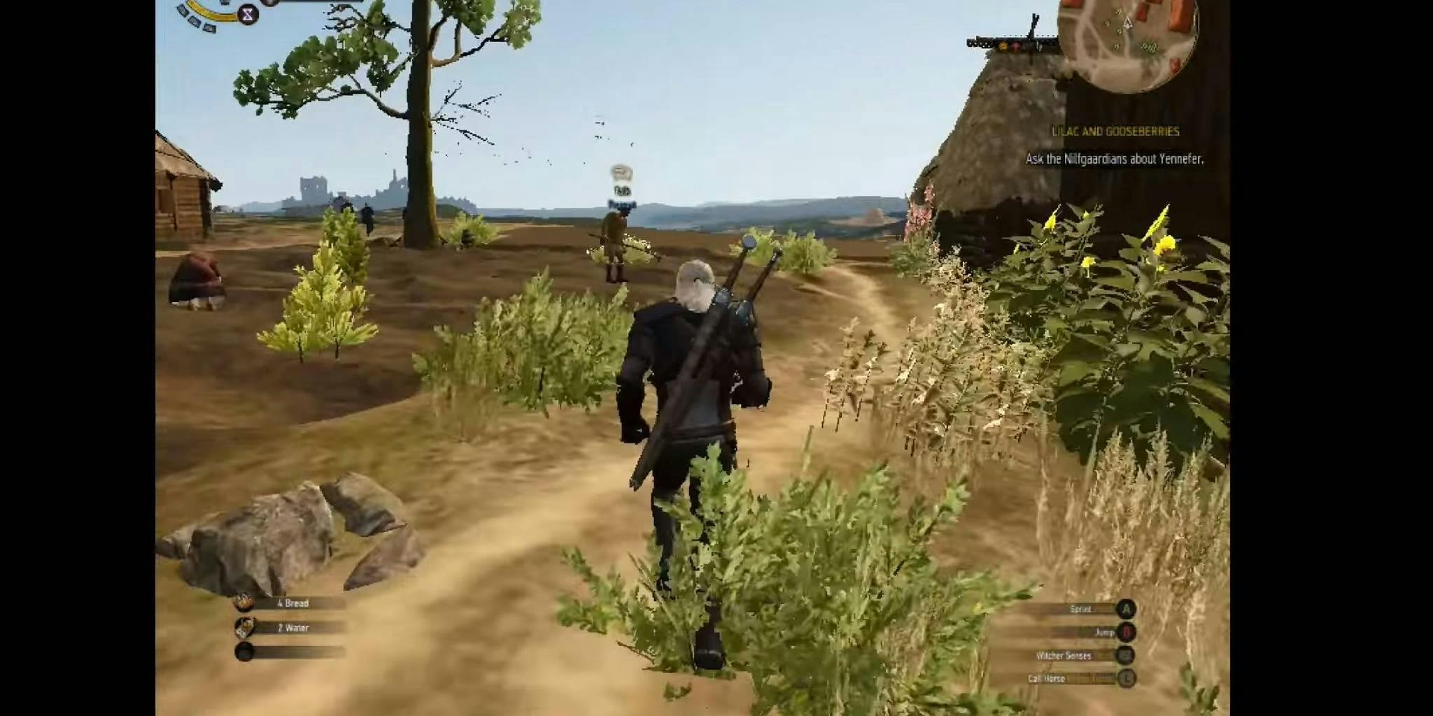 Witcher 3 On Super-Low Specs Looks Like A PS2 Game