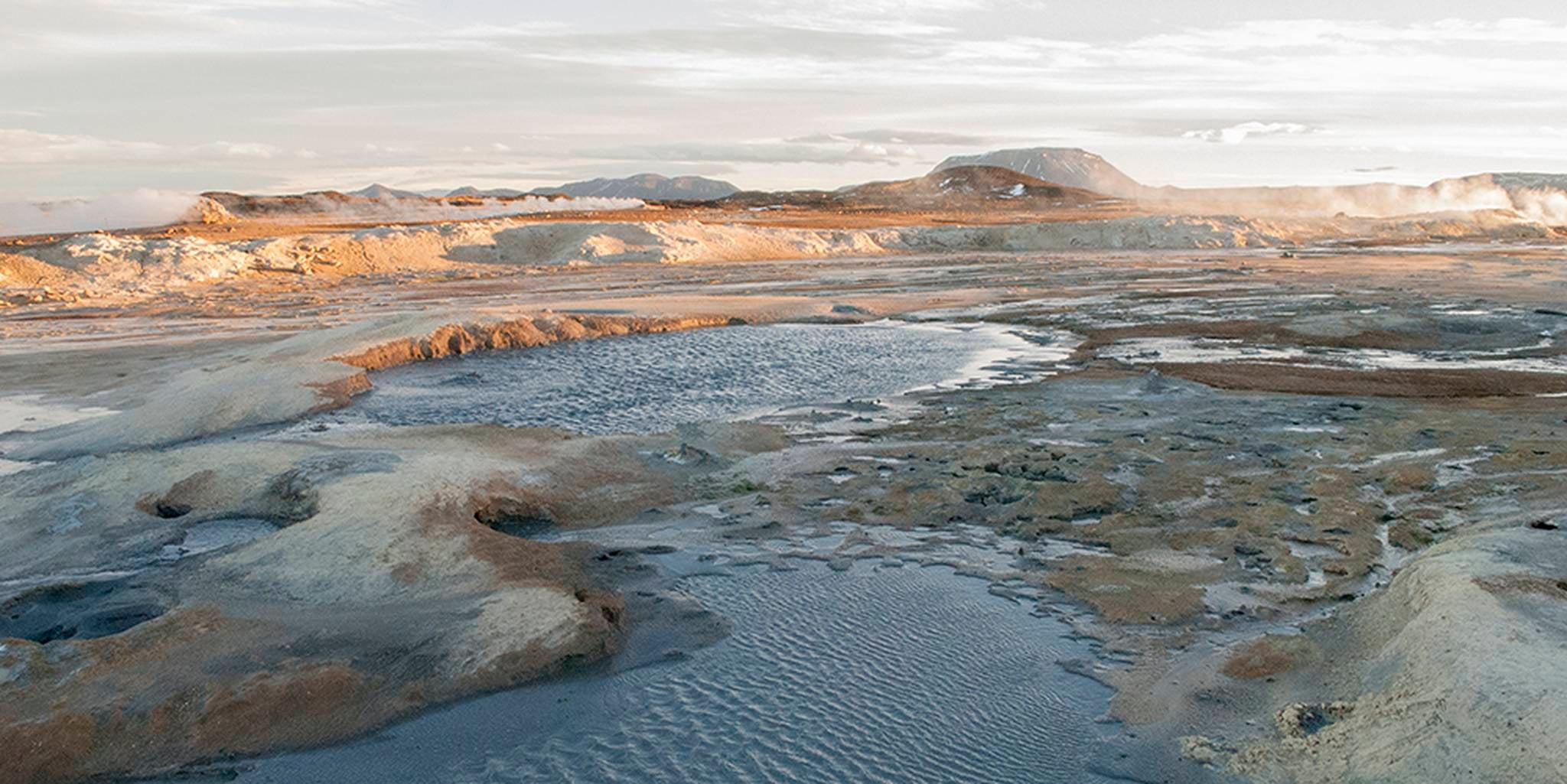 Homepage article image