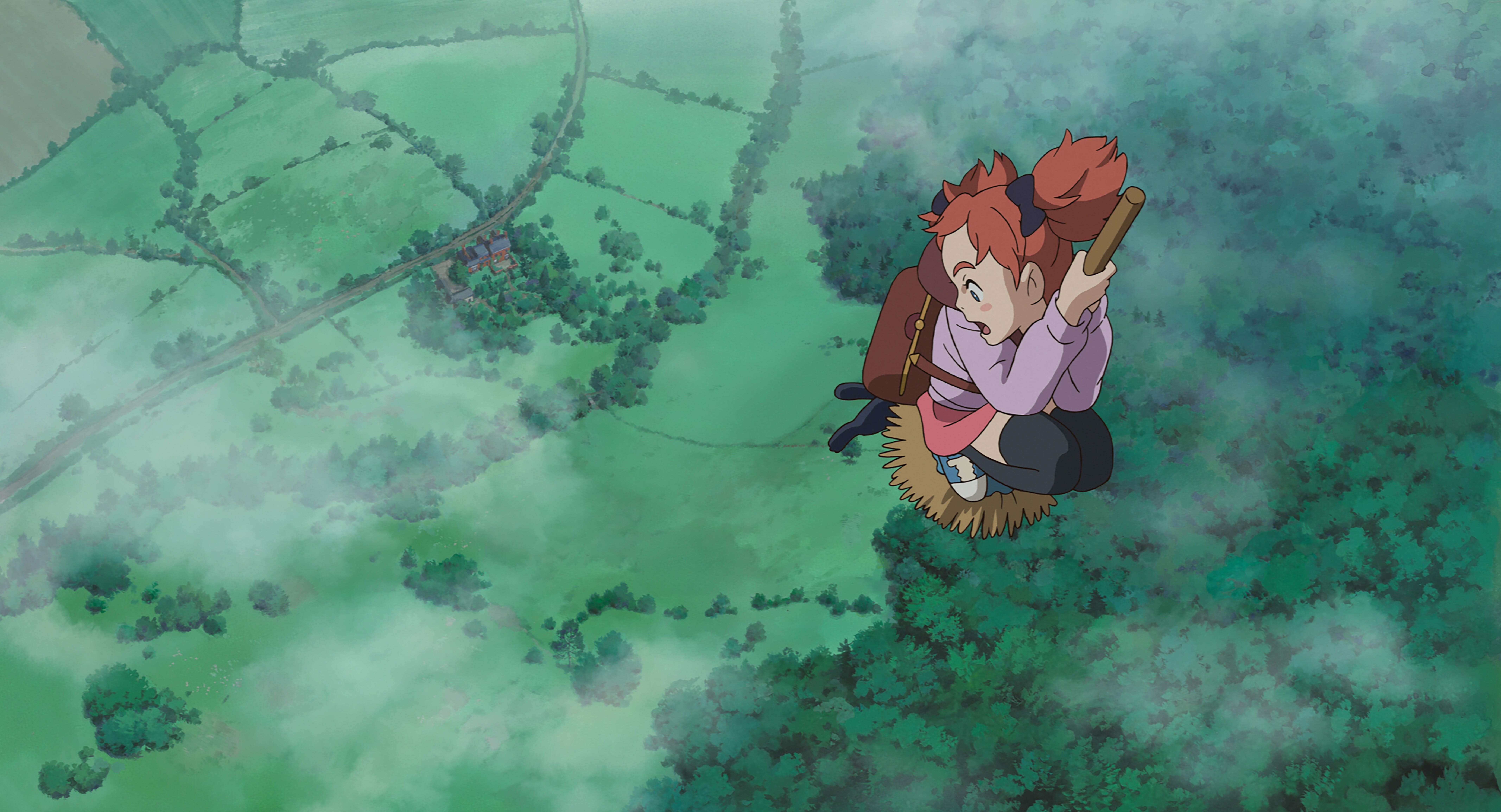 mary and the witch's flower