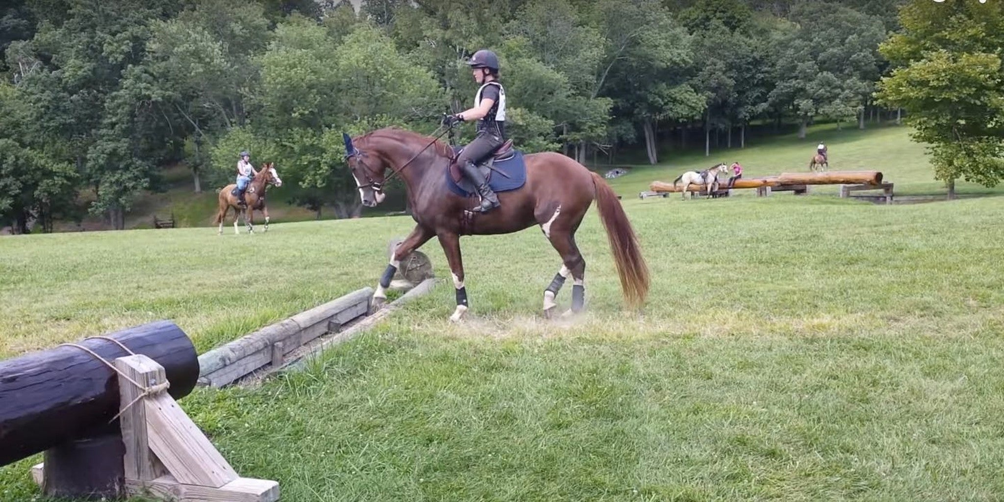 Лошадь прыгает. Прыжки через лошадь. Лошадь прыгает. Прыжок лошади через барьер. Прыжки через лошадь.