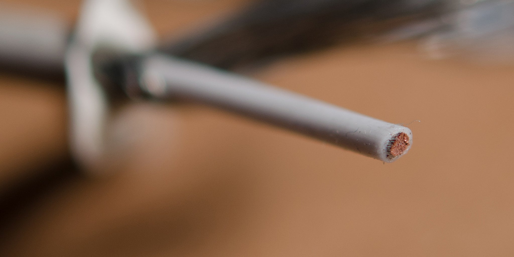 Homepage article image