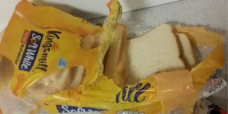 roommate destroys bag of bread