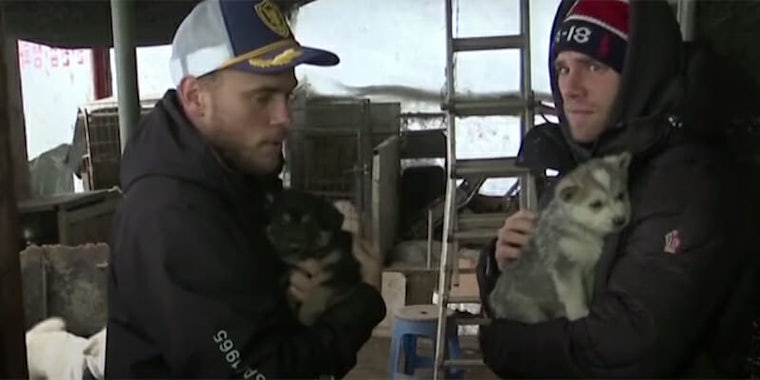 Gus Kenworthy and his boyfriend, Matthew Wilkas, visited a dog farm in South Korea during the 2018 Winter Olympics.