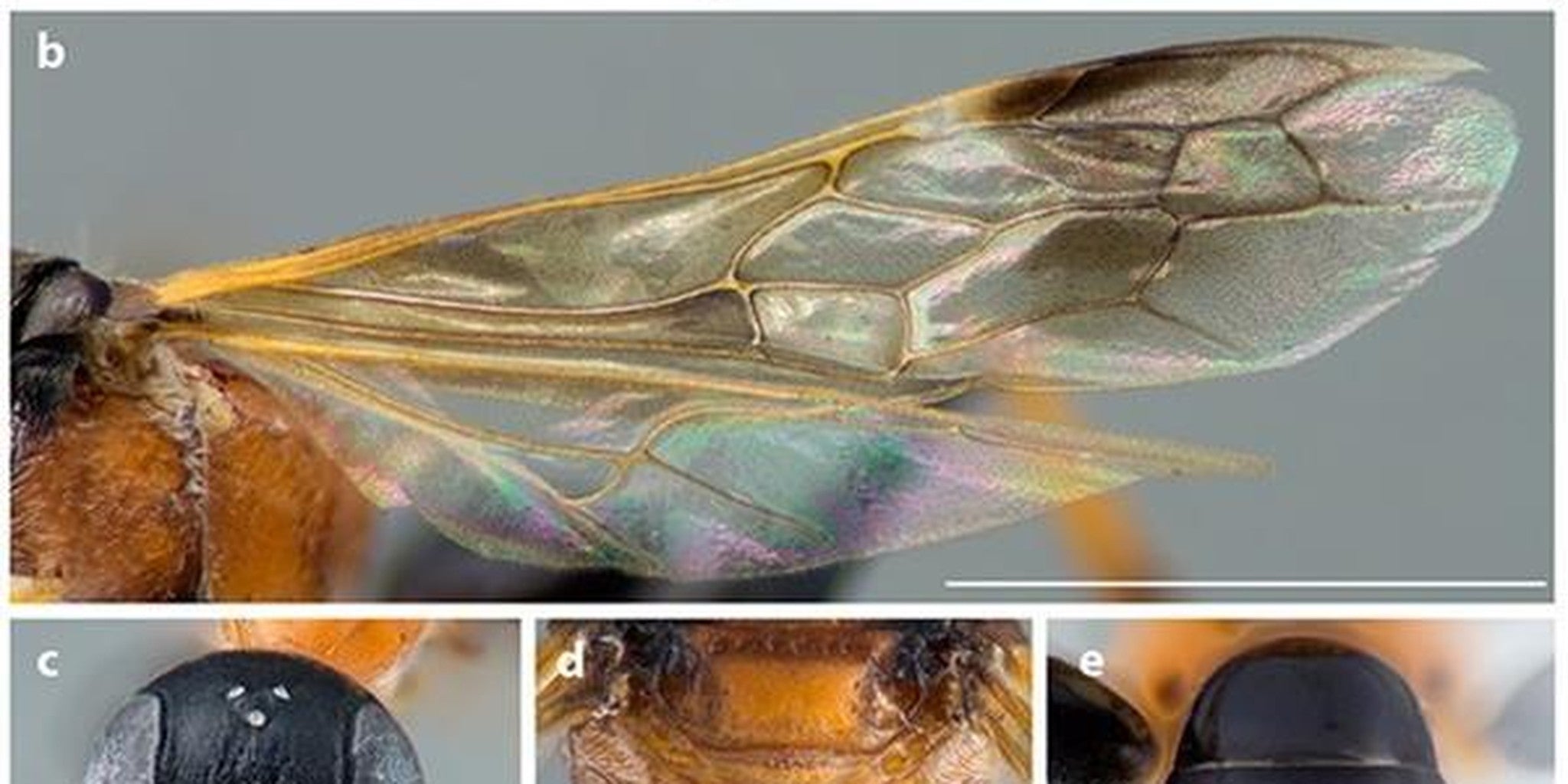 Homepage article image