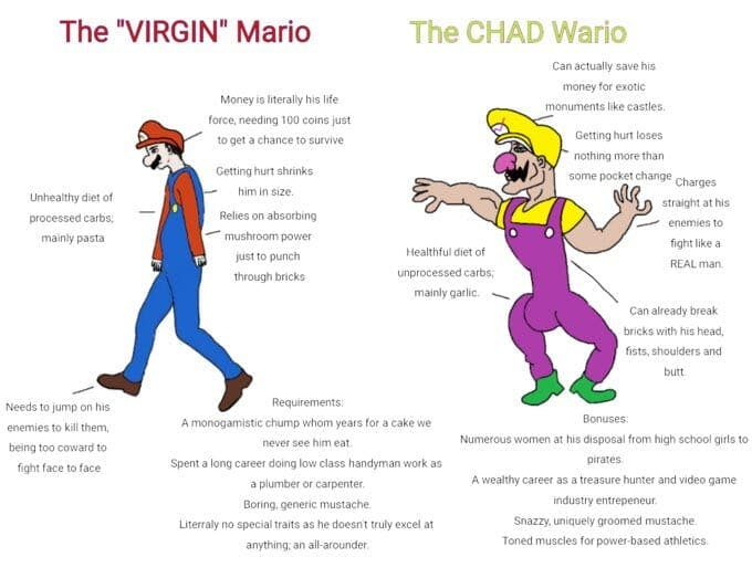virgin mario vs chad wario