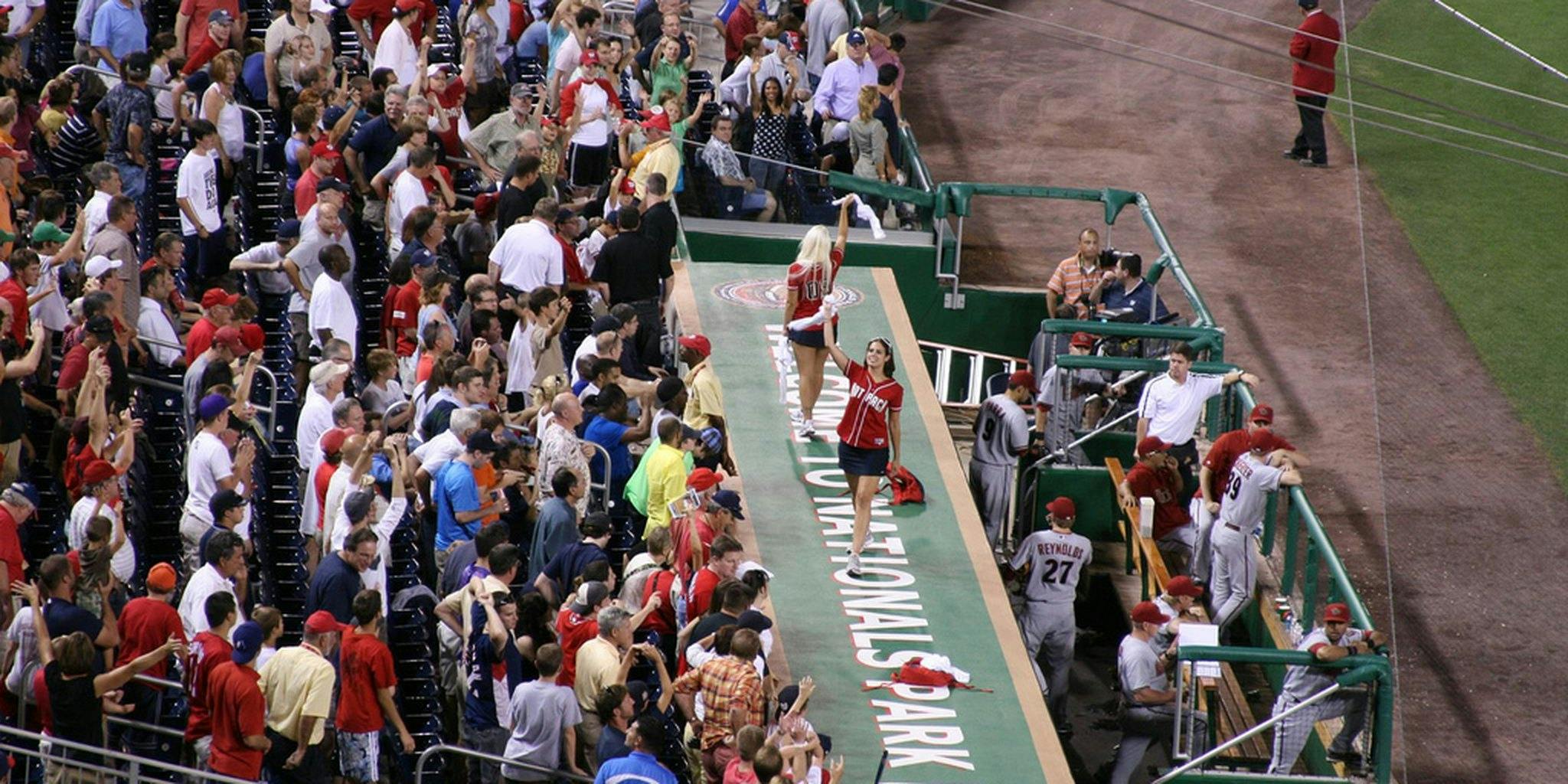 Bryce Harper was choked by Jonathan Papelbon in Nationals' dugout fight