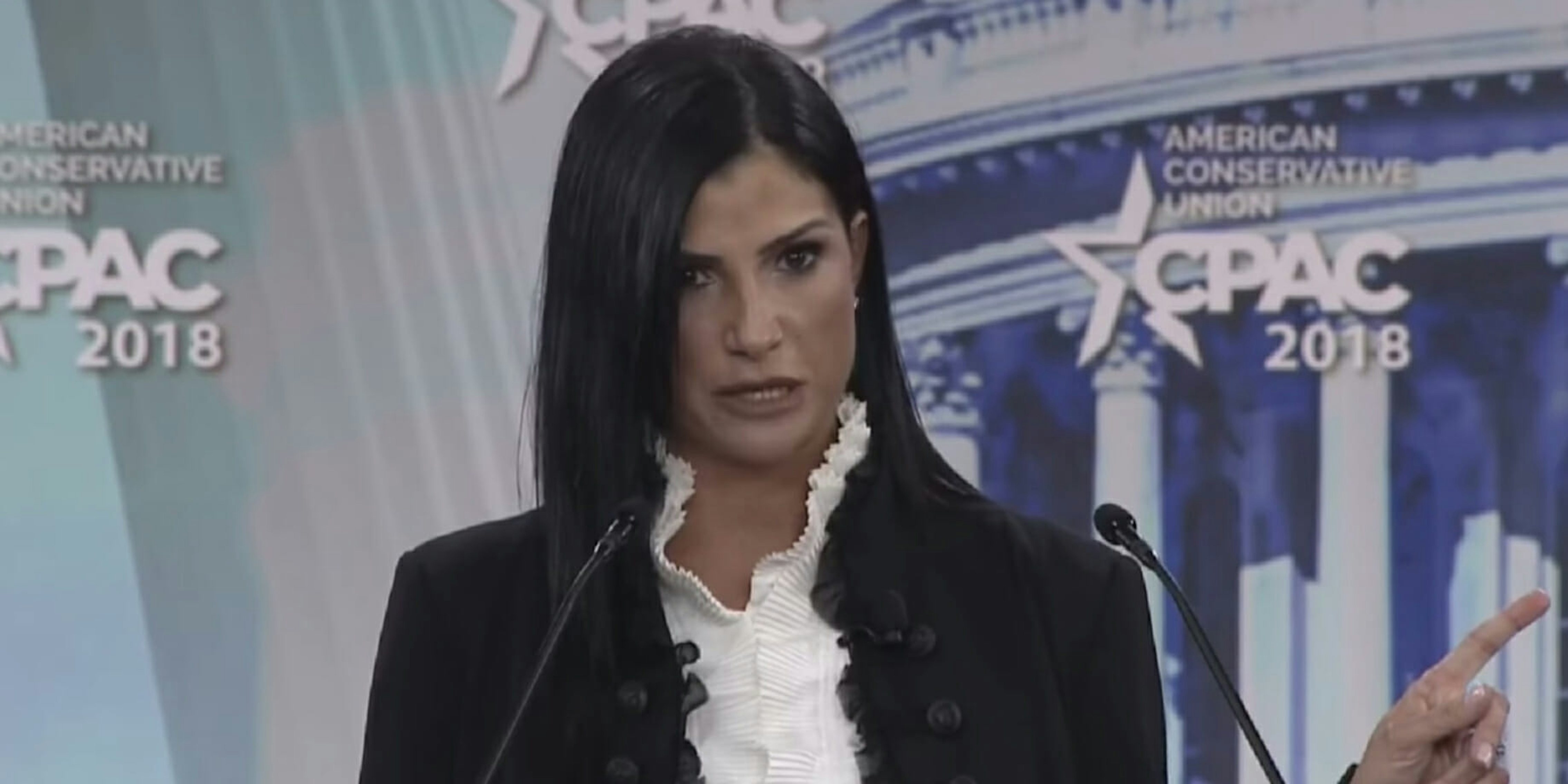 The 6 Wildest Quotes From Nra Spokeswoman Dana Loesch At Cpac