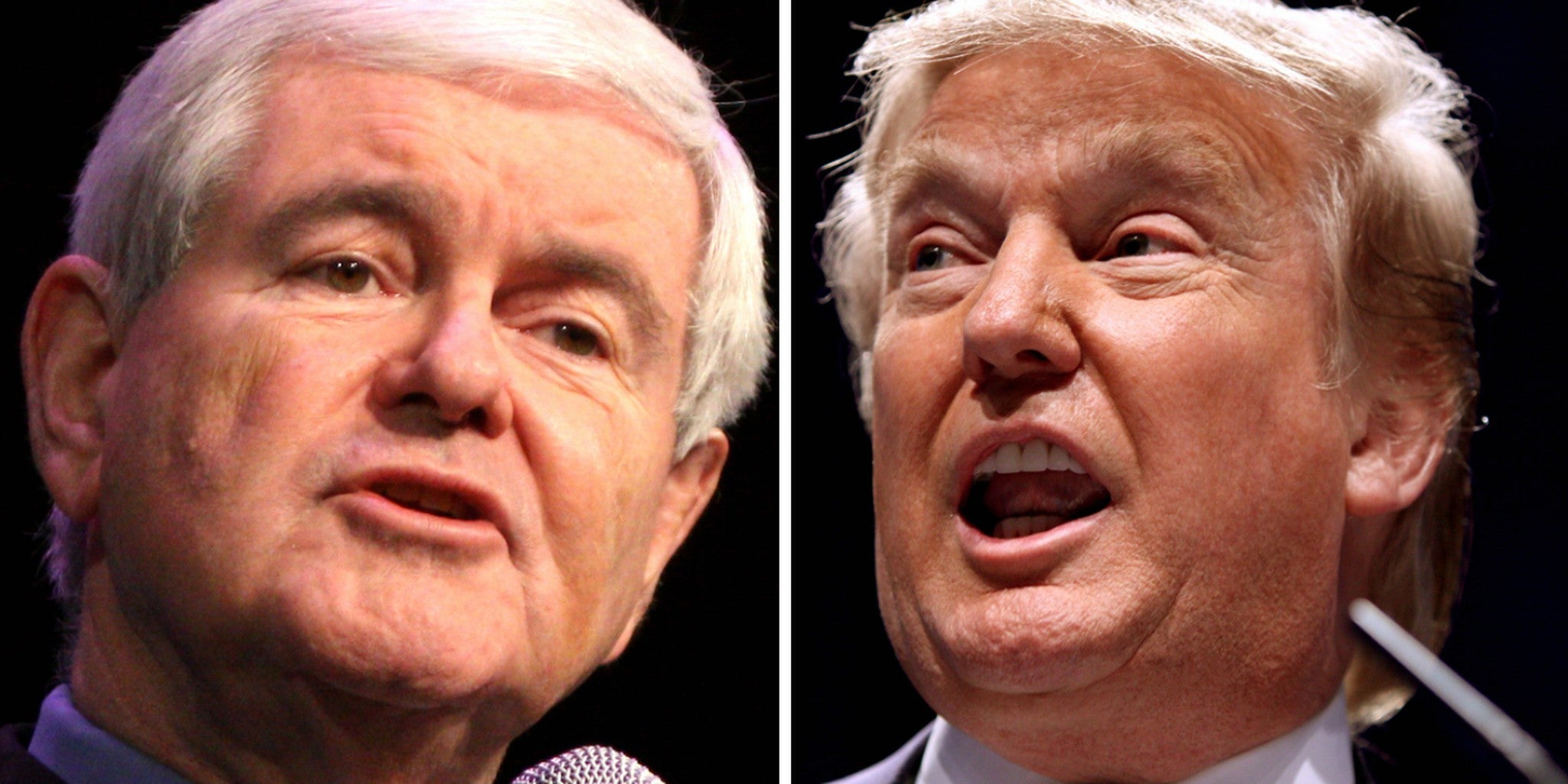 Donald Trump's vice president pick Who's on the list?