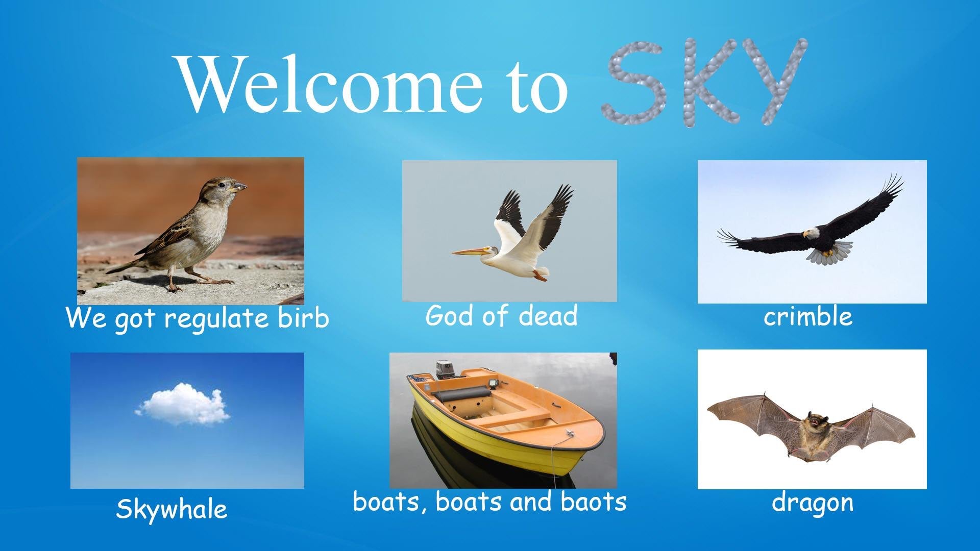 visit the sky