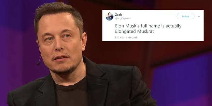 Elon Musk is actually named Elongated Muskrat.