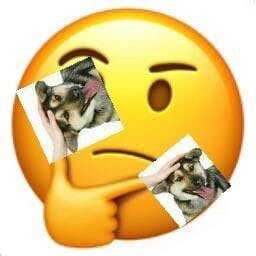 thinking emoji dog petting meme