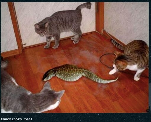 tsuchinoko real snake and cats meme