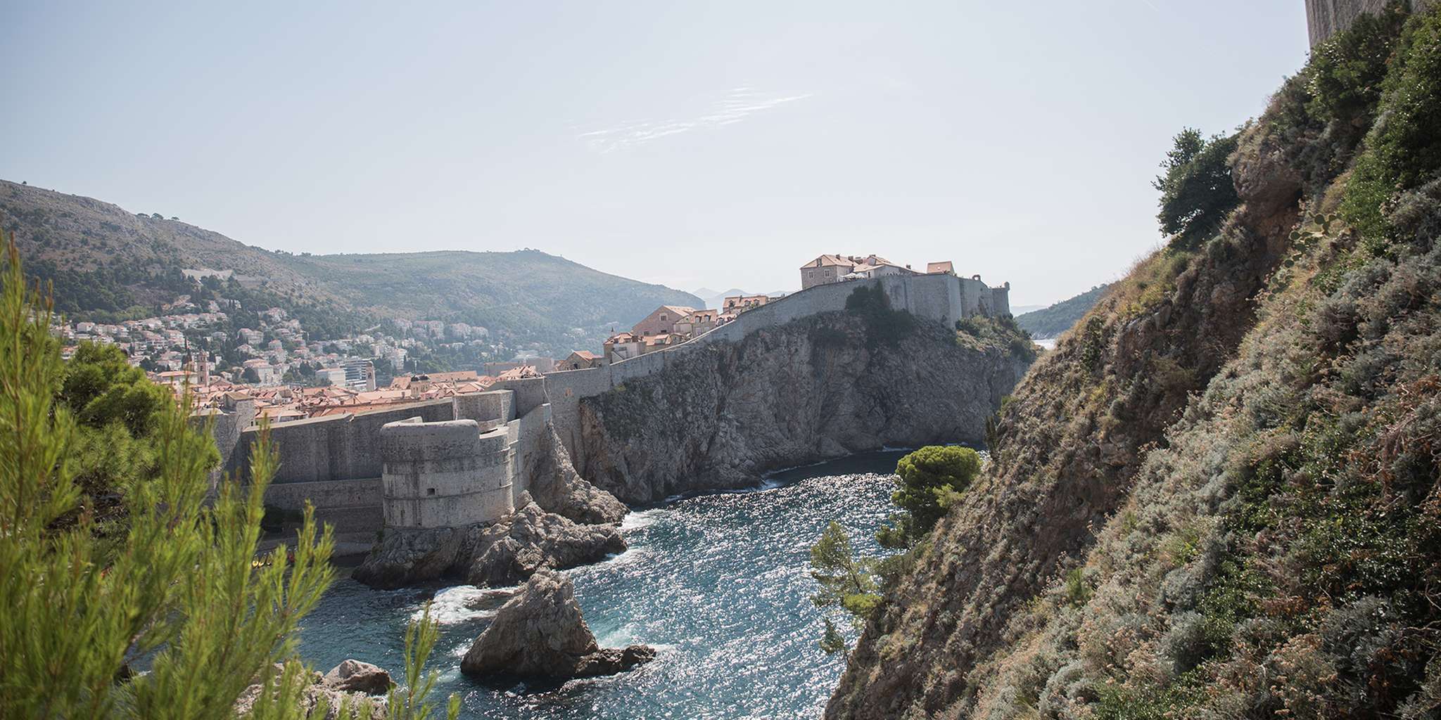 Homepage article image