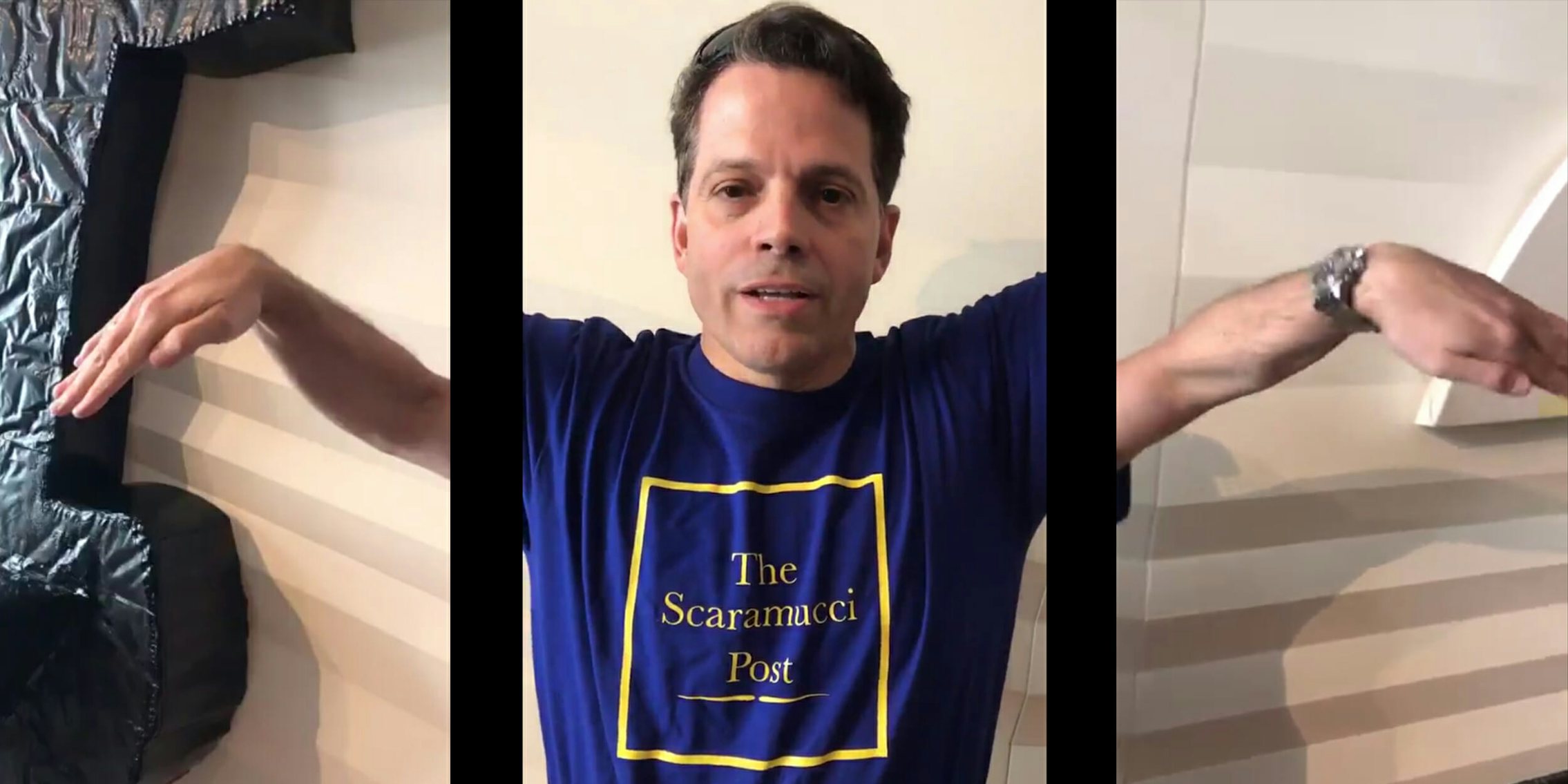 Anthony Scaramucci demonstrating the divide between the ideological left and right